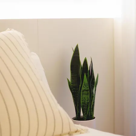 Bravissimo Pou Rodo, 2-bedroom And Bike Friendly خيرونا